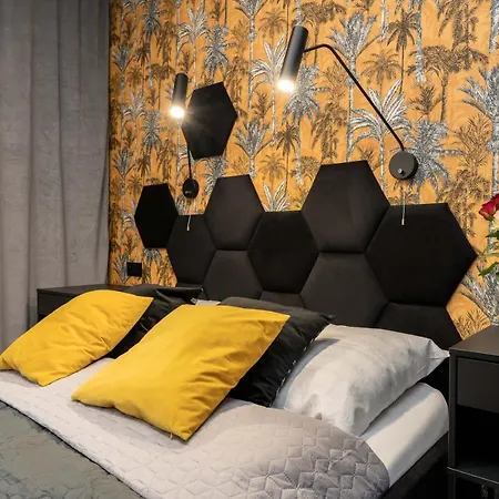 Dream4you * Vratislav